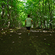 Young Man Running On Trail - VideoHive Item for Sale