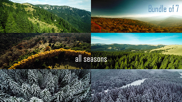 Flying Over the Forest Trees - All Seasons alt
