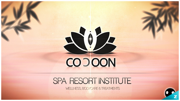 Cocoon SPAResort Institute - VideoHive 5581606
