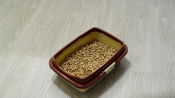 Fillers For Cat Litter Strewed Into  Tray