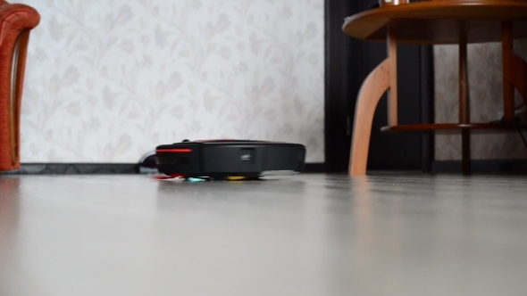  Kitten Plays With a Robot Vacuum Cleaner