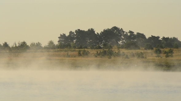 Beautiful Fog Rambles In Morning Above Water