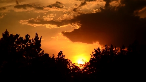 Sunset With Clouds Moving Above Tree