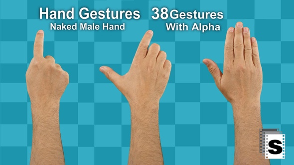 Hand Gestures Naked Male Hand