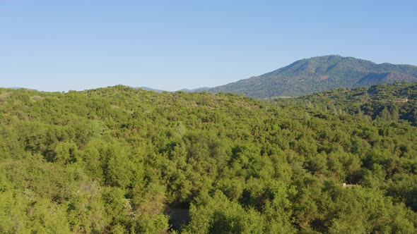 Aerial Drone Shot of a Forest with a  Mountain Road in the California Wilderness (Ahwahnee, CA) alt