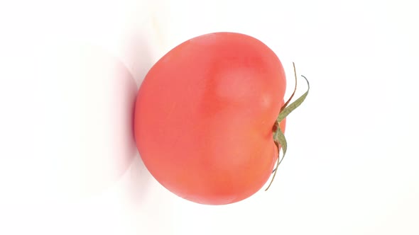Tomato rotation isolated on white background, Close up. Vertical video format