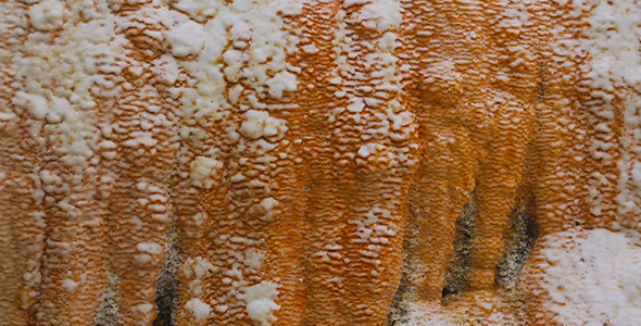 Travertine Texture alt