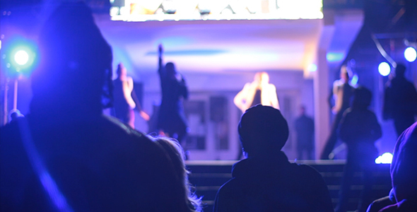 Crowd of People at a Concert