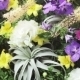 Wall Of Flowers - VideoHive Item for Sale