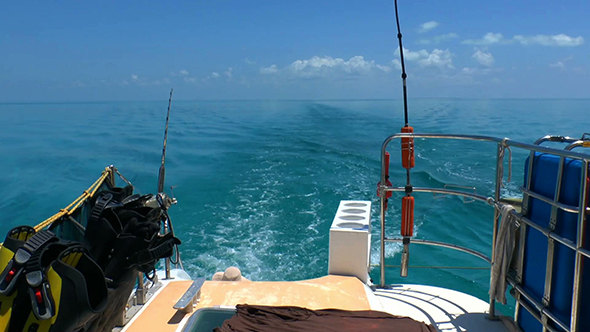 Sea Fishing Rods and Catamaran