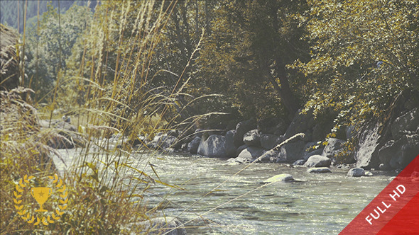 Mountain River in a Sunny Day