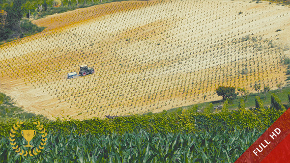 Tractor At Work in a Field