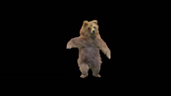 147 Bear Dancing HD alt