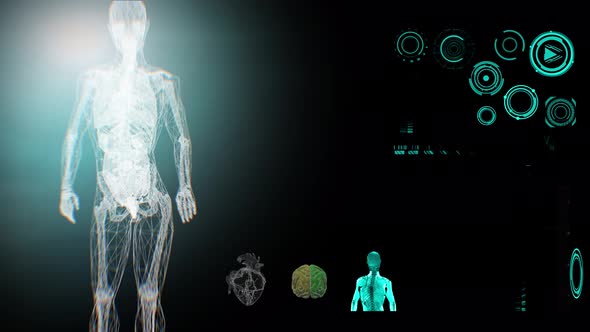 medical Interface, analysis of Human Male Anatomy on Futuristic Screen  3D render
