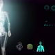 medical Interface, analysis of Human Male Anatomy on Futuristic Screen  3D render - VideoHive Item for Sale