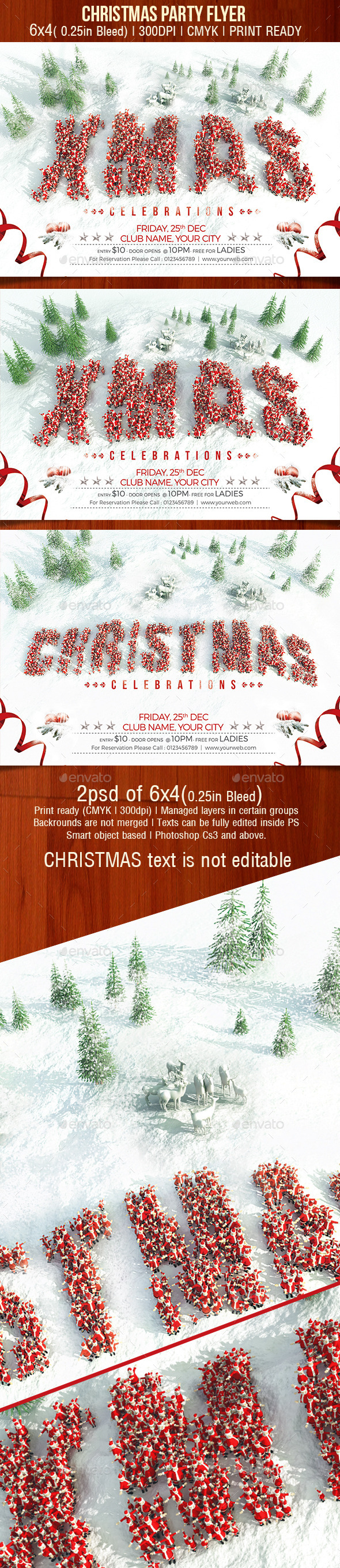 Christmas Party Flyer