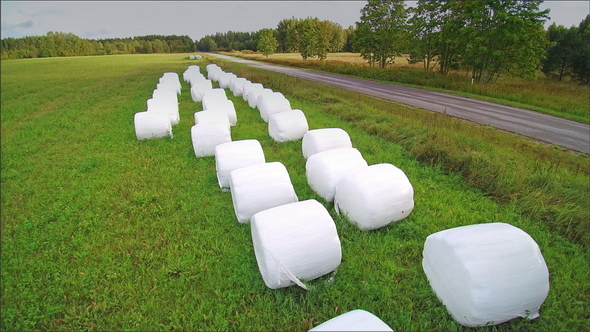 Rolls of White Hays on the Grass Field