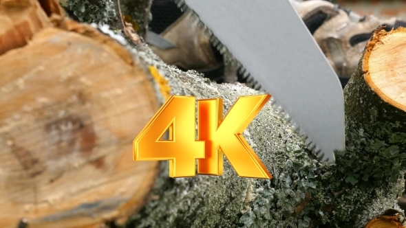 Cutting Wooden Log With Handsaw alt