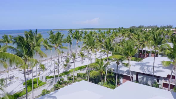 Palm Trees And Beachfront Accommodations On White Sand Beach In Summer. Playa Bavaro In Punta Cana, alt