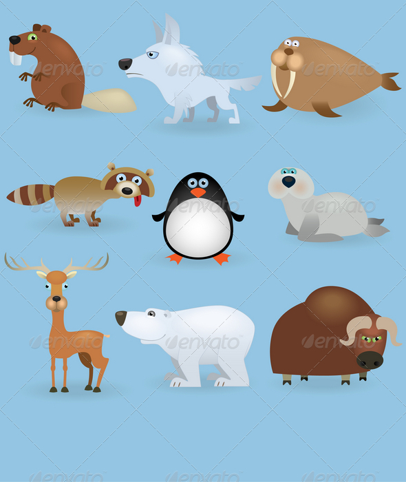 Wild Animals Set (North)