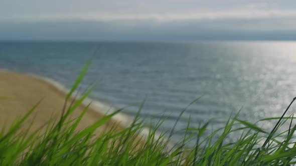 Grass Moving Sea Beach Outdoors alt