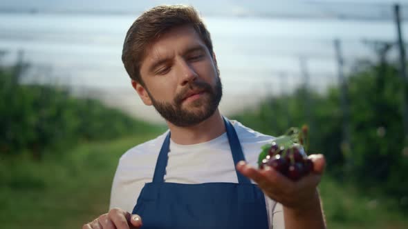 Focused Farmer Holding Fruit at Summer Agriculture Plantation alt