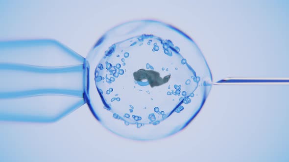 Introduction of the solution into the cell. alt