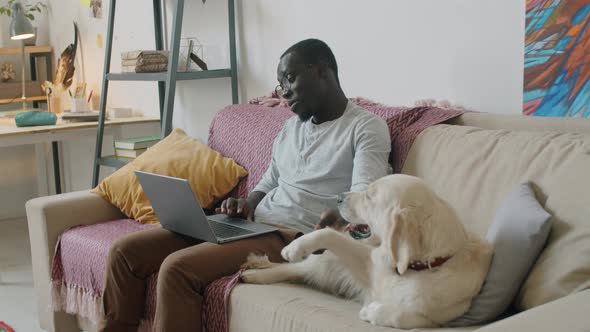 Black Man Video Calling on Laptop and Petting Dog on Sofa at Home alt