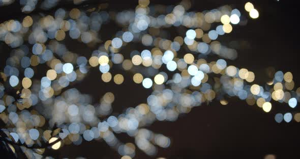 Bokeh of Christmas Lights on Decorated Tree in Park on Winter Night alt