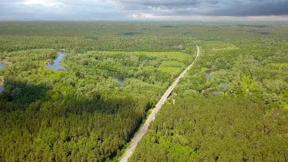 Forest Road Near River
