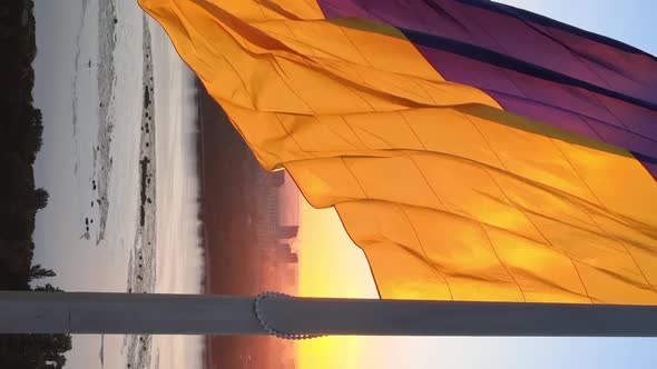 Vertical Video National Flag of Ukraine alt