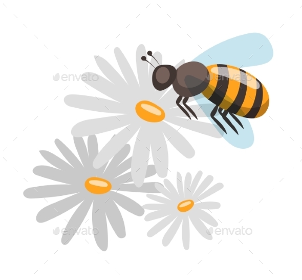 Bee Cartoon Style Vector Illustrations - Nature Conceptual