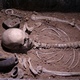 Human Skeleton, Skull, Bones, Excavated a Burial Human Skeleton, Skull, Bones, Excavated a Burial - VideoHive Item for Sale