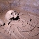 Human Skeleton, Skull, Bones, Excavated a Burial Human Skeleton, Skull, Bones, Excavated a Burial - VideoHive Item for Sale