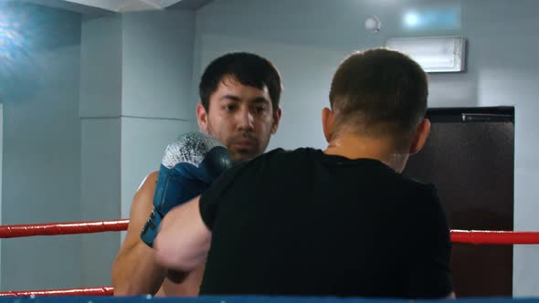 Boxers  Training on the Ring alt