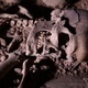 Human Skeleton, Skull, Bones, Excavated a Burial Human Skeleton, Skull, Bones, Excavated a Burial - VideoHive Item for Sale