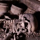 Human Skeleton, Skull, Bones, Excavated a Burial Human Skeleton, Skull, Bones, Excavated a Burial - VideoHive Item for Sale