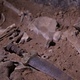Human Skeleton, Skull, Bones, Excavated a Burial Human Skeleton, Skull, Bones, Excavated a Burial - VideoHive Item for Sale