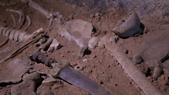 Human Skeleton, Skull, Bones, Excavated a Burial alt