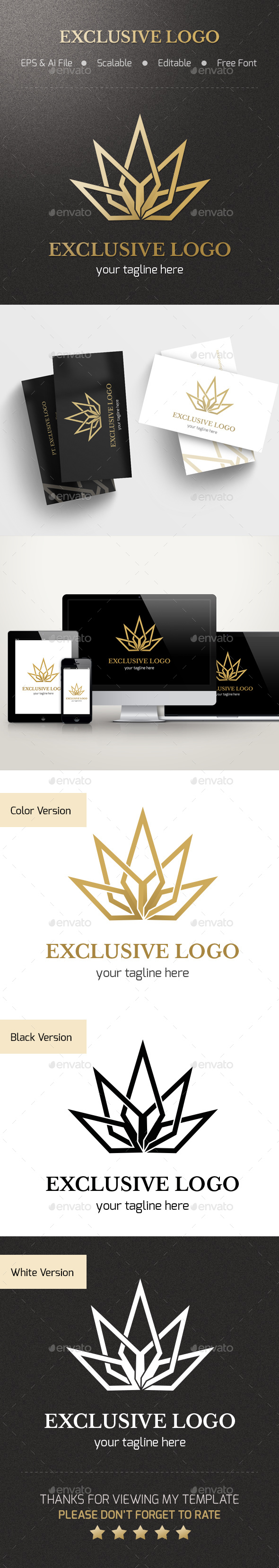 Exclusive Logo - Abstract Logo Templates