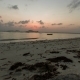 Sunset At The Tropical Island  - VideoHive Item for Sale