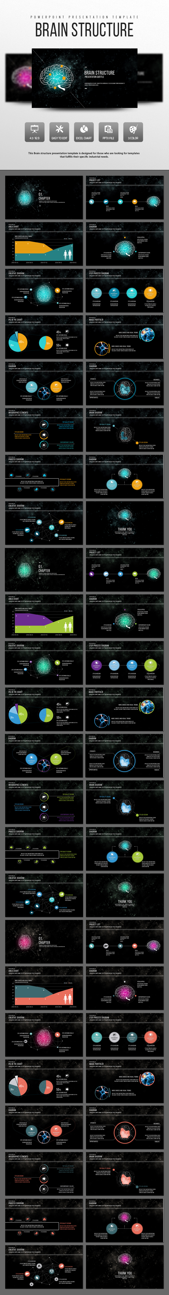 Brain Structure - PowerPoint Templates Presentation Templates