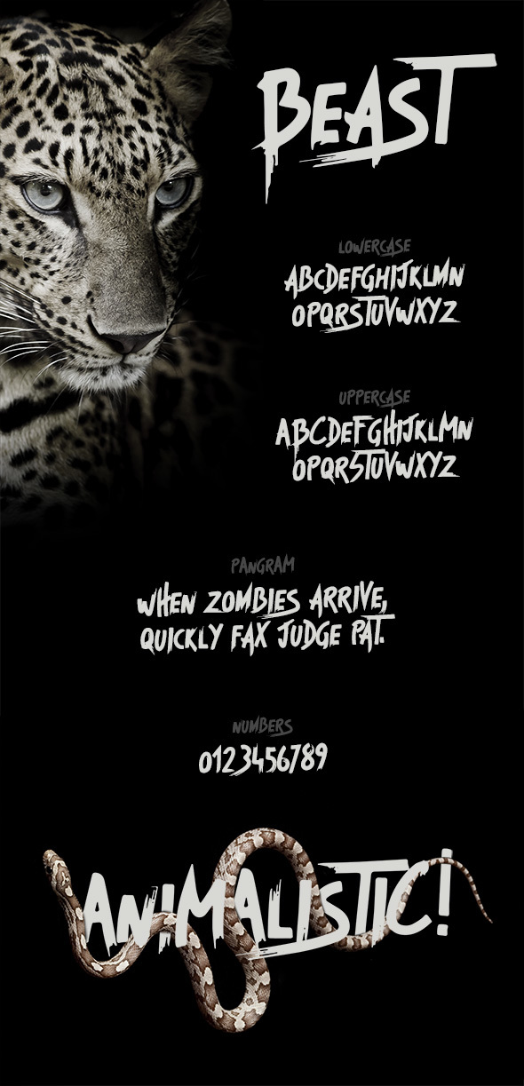 Beast - Brush Font - Fonts