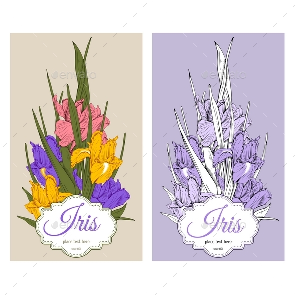 Iris Flowers - Backgrounds Decorative