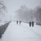 People Walk Along the River Promenade in Winter People Walk Along the River Promenade in Winter - VideoHive Item for Sale