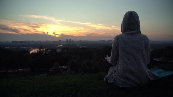 Funny Dog Running Outdoors alt