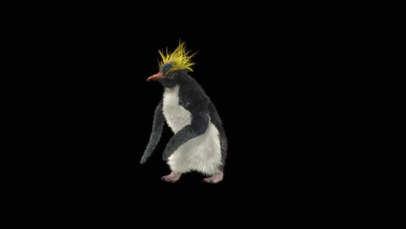 82 Penguin Dancing HD alt