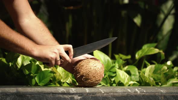 A Man Using a Large Knife and Try to Open a Fresh Coconut