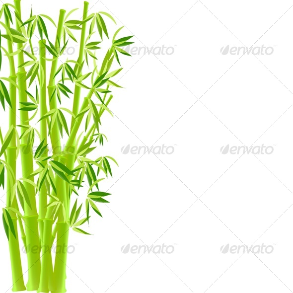 vector illustration of bamboo