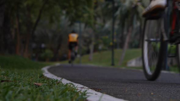 Bike In The Park alt